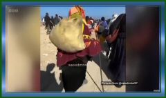 1011252.12.55 AM.jpeg